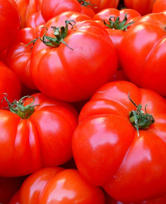 tomatoes-5356_1920