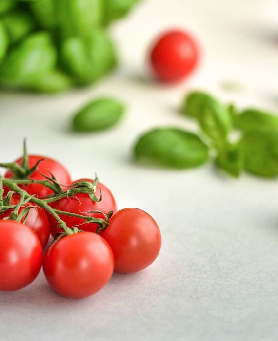 tomatoes-3404263_1920