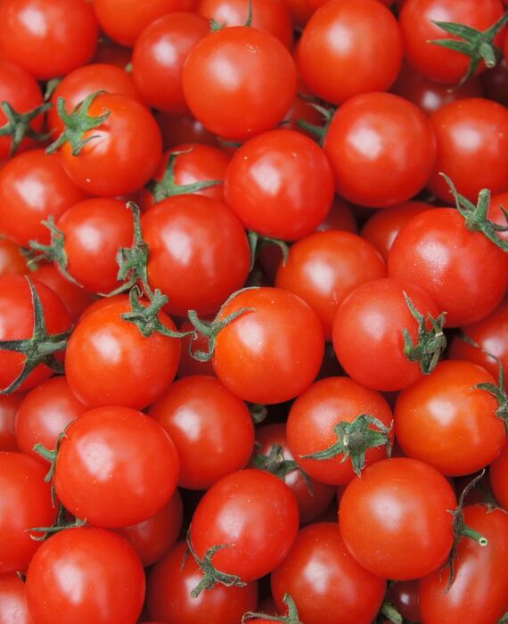 cherry-tomato-4330441_1920