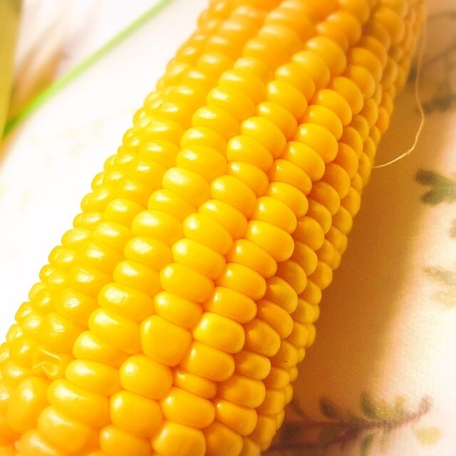 4115818_s